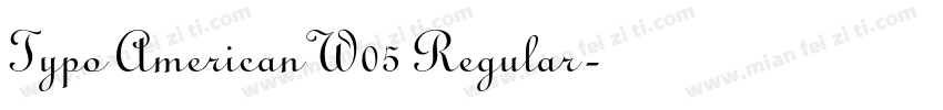 Typo American W05 Regular字体转换